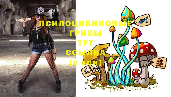 герыч Абинск