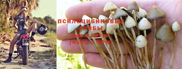 2c-b Абдулино