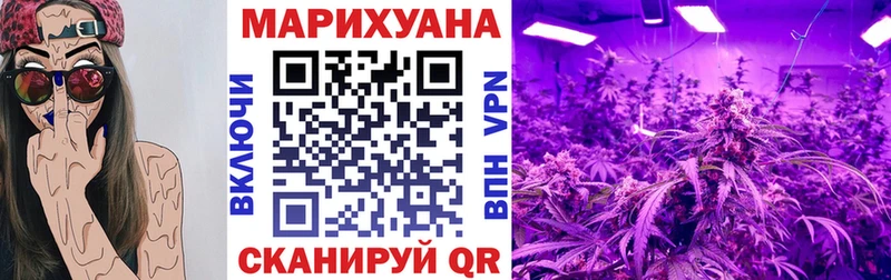 где купить наркоту  Кировград  МАРИХУАНА планчик 